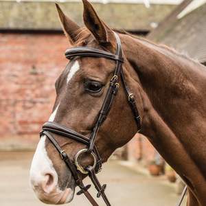 Drop Noseband Brida alemana Elevada Cavesson Brida Caliente Multi Color Cuero genuino Caballo Brida Tamaño completo - Product Image 6