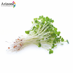 พืชรากอัลฟัลฟ่าธรรมชาติจากอินเดีย | วิตามินและแร่ธาตุ - Product Image 5