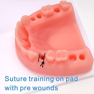 ชุดอุปกรณ์เย็บแผลสำหรับทำฟันแผ่นเย็บแผลใช้ในการทำฟัน - Product Image 6