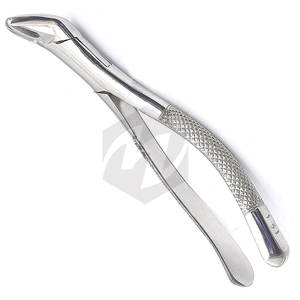 Premium Dental Extracting Forceps #151 Stainless Steel Tooth Extraction Forceps Lower Teeth Surgical Dental Medic Instruments - Product Image 4