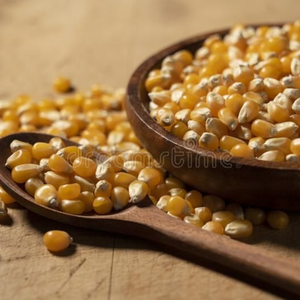 NÚCLEOS DE MAÍZ DULCE AMARILLO SECOS NATURALES ETIQUETA LIMPIA DE GRADO PREMIUM NO GMO - Product Image 1