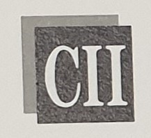 Comet  International Inc. logo