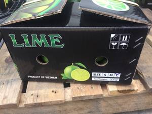 Citron d'exportation bon prix Citron vert frais naturel-citron vert frais sans pépins et citron vert forme Vietnam pour l'exportation vers les moyens-asie de l'est - Product Image 5