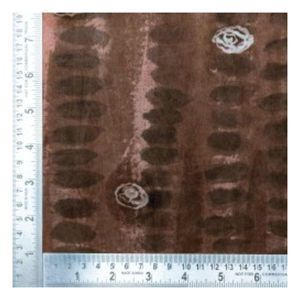 High quality Cotton Dyed Fabric 100% Customizable design style technics and material Aus - Product Image 4