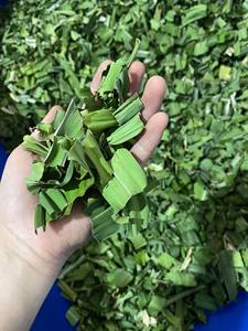 Polvo de hoja pura de hojas Pandan Premium 100% Natural 1kg envasado al vacío en bolsa - Product Image 4