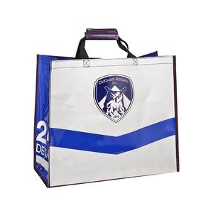Bolsas de Compras de PP Personalizables con Asas de Tela No Tejida/Cinta de PP - Multitamaño (Mini a Extra Grande y Personalizable) para Supermercados - Product Image 1