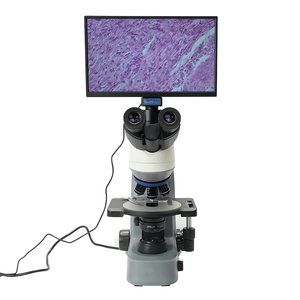Kính hiển vi sinh học kỹ thuật số LCD BLM5-247 với giai đoạn gốm để phân tích miễn dịch huỳnh quang trong phòng thí nghiệm y sinh - Product Image 4