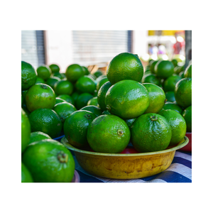 Meilleur prix pour les citrons frais cultivés au Vietnam-Citrons sans pépins d'excellente qualité avec beaucoup de jus - Product Image 3