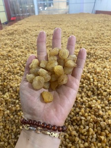 Dried Longan Made from Fresh Longan Fruit Ideal for Dessert Topping or Drink Ingredient Vietnam Origin - Product Image 5