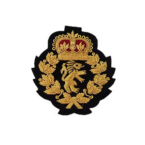 Parches de Tela Bordados a Mano con Hilo de Bullion, Hechos a Medida, Insignias Bordadas en 3D para Uniformes al por Mayor, Tamaño Personalizado - Product Image 3