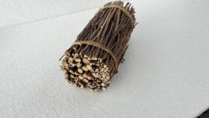 Lámpara de Sal Natural Orgánica con Diseño Floral y Técnica Tallada para Decoración del Hogar, Uso Holístico y Curativo - Reventa y Decoración - Product Image 3