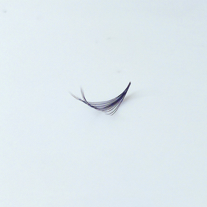 Meilleur prix ELFA Beauty Niche pour extensions de cils en fibre PBT coréenne faites à la main, effet doux et vaporeux/camélia, design unique, populaire et nouveau - Product Image 5