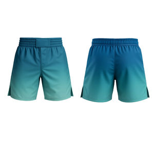 Shorts d'entraînement MMA personnalisables OEM, couleur dégradée de turquoise à aqua, extensible, respirant, séchage rapide, léger, pour sports et arts martiaux - Product Image 3