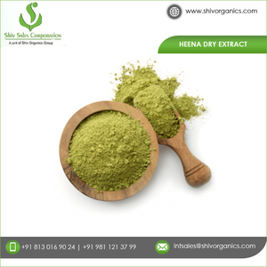 Top fabricant d'extrait de plantes naturelles 100% certifié ISO, poudre sèche Heena au meilleur prix du marché - Product Image 3