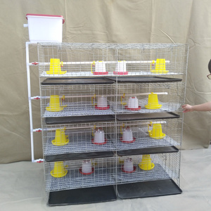 Gabbia di nidificazione per pulcini 3 o 4 livelli 2 porte da 90 a 320 per gabbia utilizzata per l'allevamento di piccoli polli - Product Image 1