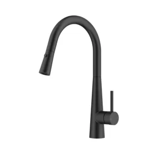 Modern Contemporary Ceramic Matte Black Kitchen Faucet with Pull-down Sprayer High Arc Single Handle Kitchen Sink Faucet