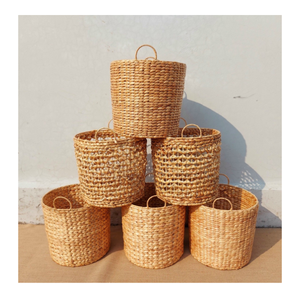 Cesta de Jacinto de Agua para Almacenamiento y Exhibición, Artículo Popular de Exportación con Cotización Atractiva - Product Image 2