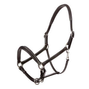 Charmante pièce de cou Halter en cuir rembourré surélevé donne à ce licou la boucle à double couronne avec du matériel en laiton argenté - Product Image 2