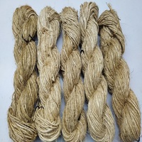 Fil de fibre de banane biologique extrait de l'arbre à bananes, utilisé pour les tapis, les tapis, le tricot, le tissage, la broderie, la fabrication de cordes, l'art et l'artisanat