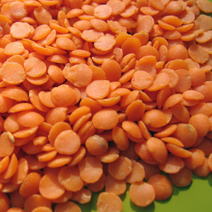 Precio al por mayor, lentejas secas disponibles a granel para exportación con sabor natural, lentejas listas para enviar - Product Image 1