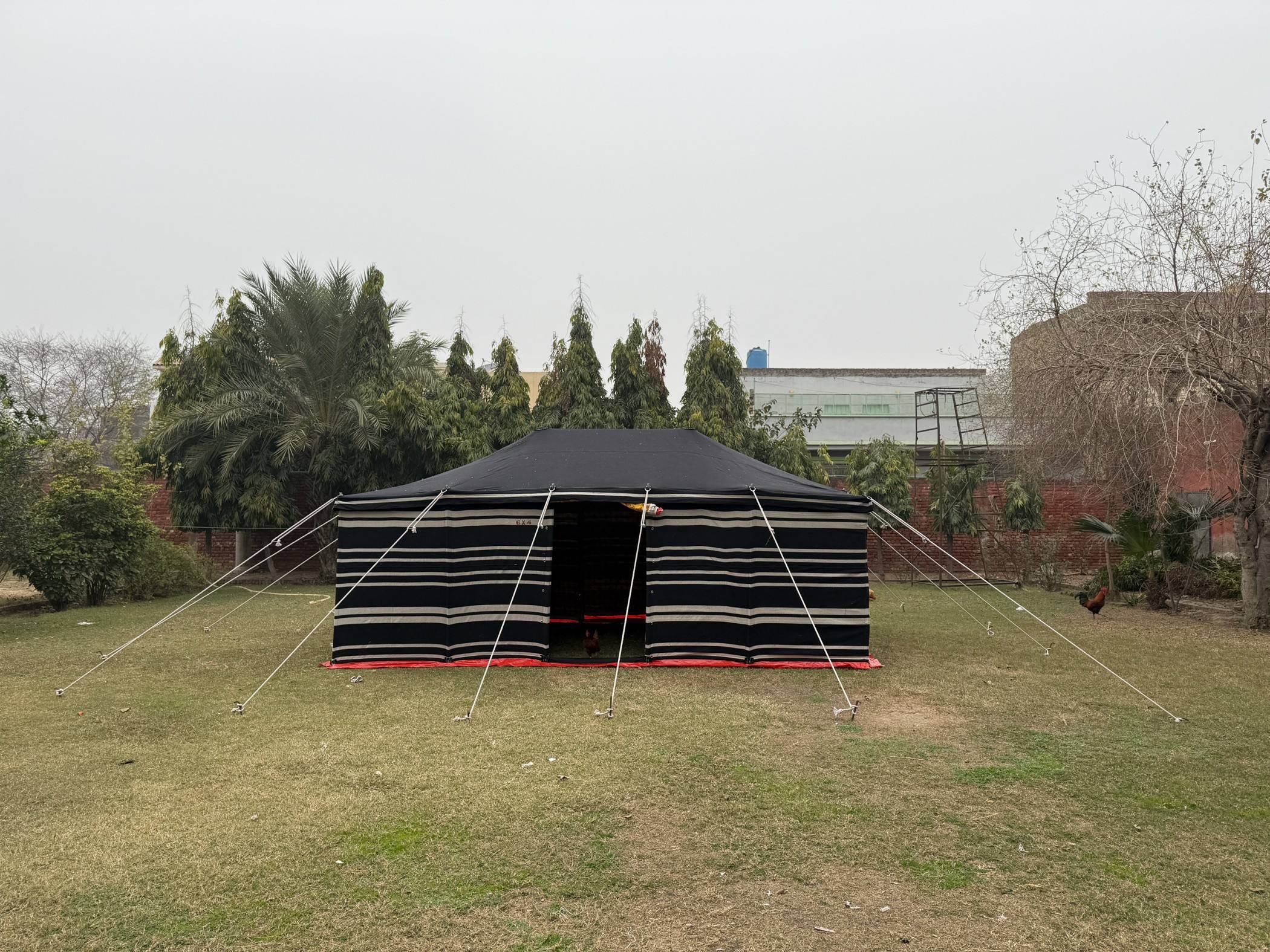 แถบสีดำและขาว