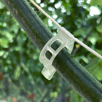 Attache pour concombre et tomate 16 mm en polypropylène bioplastique transparent, support de plante à très forte adhérence, multi-saisons, pour serre