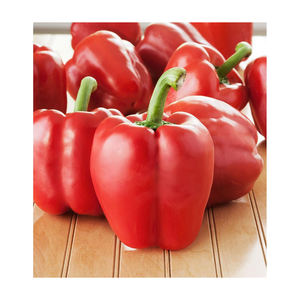 Pimiento rojo de primera calidad suministrado a precio de fábrica con entrega rápida - Product Image 4