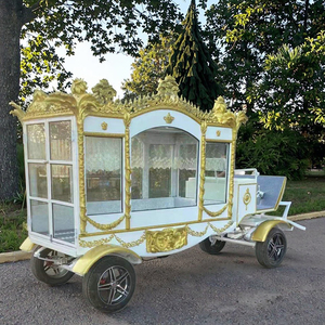 Carroza Fúnebre de Lujo de Acero, Eléctrica y Tirada por Caballos, para Ataúdes - Product Image 6