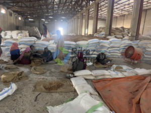 Goma de Acacia pura en polvo árabe espesante de alimentos naturales goma senegalesa árabe Rikaz Group producto agrícola - Product Image 2