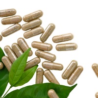 Meilleures ventes de capsules d'extrait de racine d'Ashwagandha Supplément de poudre à base de plantes avec emballage de tambour de Shilajit et de safran