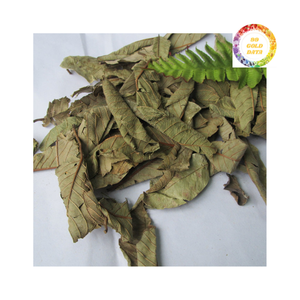 Suministro a granel de hojas de guayaba deshidratadas, buen precio, Exportación lista - Product Image 2