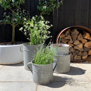 Maceta de flores galvanizada de hierro de estilo europeo ecológica de alta calidad con diseño personalizado para decoraciones de hogar y jardín - Product Image 1