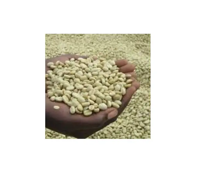 Feijões de café especialidade árabica café da agricultura familiar feitos no brasil grãos de café em 30 kg