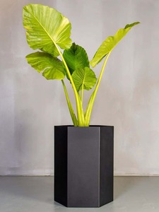 กระถางดอกไม้และกระถางโลหะรูปทรงชามคลาสสิกฐานที่แข็งแรงสำหรับต้นไม้ในร่มหรือกระถางต้นไม้ขนาดใหญ่สินค้ามาใหม่ - Product Image 2