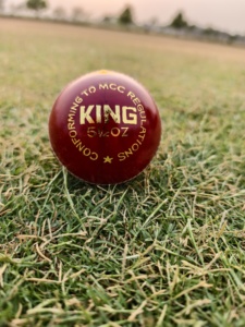 Balles de cricket d'entraînement de qualité supérieure, 156 g, en cuir, ensemble avec logo personnalisé - Product Image 3