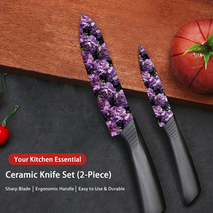 Juego de 6 Cuchillos de Chef Profesionales de Cerámica 2026, Mango de Plástico, Aptos para Lavavajillas, para Caza de Grandes Animales, Despellejado en Campo, Precio de Fábrica - Product Image 3