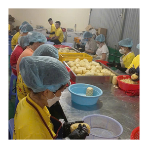 Exportation en gros d'ananas congelé du Vietnam saveur sucrée naturelle de qualité supérieure ananas congelés en gros fournisseur d'approvisionnement d'usine IQF - Product Image 2