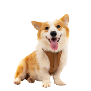 Arnés Reflectante Ajustable de Alta Calidad para Perros Grandes, Chaleco Acolchado Reflectante para Mascotas, a Prueba de Escapes, Diseño Moderno, Vietnam - Product Image 4