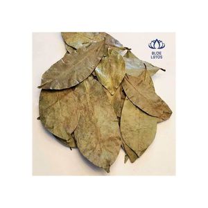 Soursop ออกจากเวียดนาม - Product Image 3