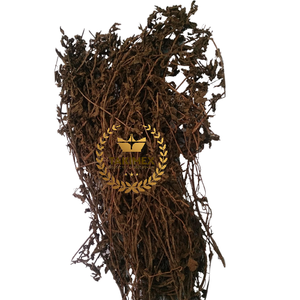 Feuilles de gelée d'herbe séchée du VIETNAM - Mesona Chinensis - Product Image 1