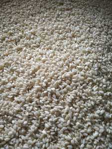 เมล็ดงาขาวปอกเปลือกคุณภาพดีที่สุด ความบริสุทธิ์ 99.98% ได้รับการรับรองมาตรฐาน ISO และฮาลาล ยี่ห้อ KNK Spices อายุการเก็บรักษา 1 ปี เหมาะสำหรับใช้เป็นเครื่องปรุงรส - Product Image 4