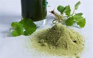 POUDRE DE GOTU KOLA AUX HERBES IMMUNITAIRES AVEC DES INGRÉDIENTS PURS DE SOURCES BOTANIQUES NATURELLES - Product Image 6