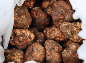 Huile aromatisée à la truffe noire 250ml Haute Qualité pour Horeca & Food Service GVERDI Sélection Alimentaire Italienne Fabriqué en Italie - Product Image 2