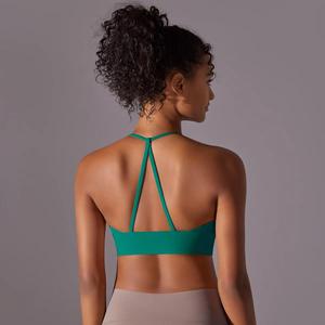 Soutien-gorge de sport imprimé personnalisé à haute élasticité pour Fitness Running Qualité OEM Service Sans couture et Doublure en spandex grande taille - Product Image 3