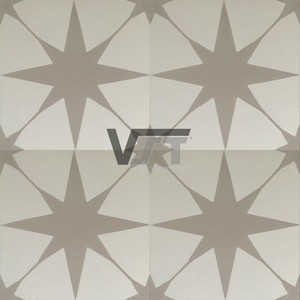 Gạch tốt sản phẩm bán chạy nhất thu hút bởi vẻ đẹp nghệ thuật của gạch xi măng với nhiều mẫu - Product Image 6