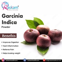 Supplément riche en protéines Garcinia Indica du fournisseur direct d'usine pour booster la digestion des adultes