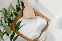 Vietnam Gedroogd Gedessickeerd Kokospoeder Zoet AD Verwerkt Hoogvet Fijne Kwaliteit 50kg voor Export HANFIMEX 0084327324400 100%