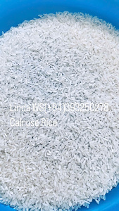ARROZ AROMÁTICO DE CALROSA DE ALTA CALIDAD-Textura SUAVE GMO 5% Roto Máximo 24 meses de vida útil Origen de Vietnam Linda WS(+ 84)393250278 - Product Image 2
