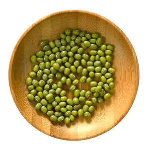 बिक्री के लिए उच्च गुणवत्ता वाला ताजा हरा स्वस्थ सूखा स्वस्थ मूंग बीन सेंवई 260 ग्राम