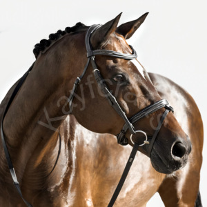 Brida anatómica convertible para caballos, estilo Milan con costuras elegantes, tocado acolchado con gel, Cavesson Hanoverian Noseband - Product Image 1